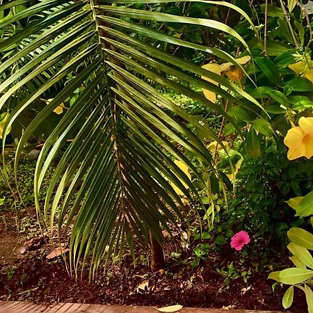 Stan-Inn, North Goa, Vagator, With Strong Wifi,Free Private Parking & Kitchen, Can Cook Where You Stay Exterior photo