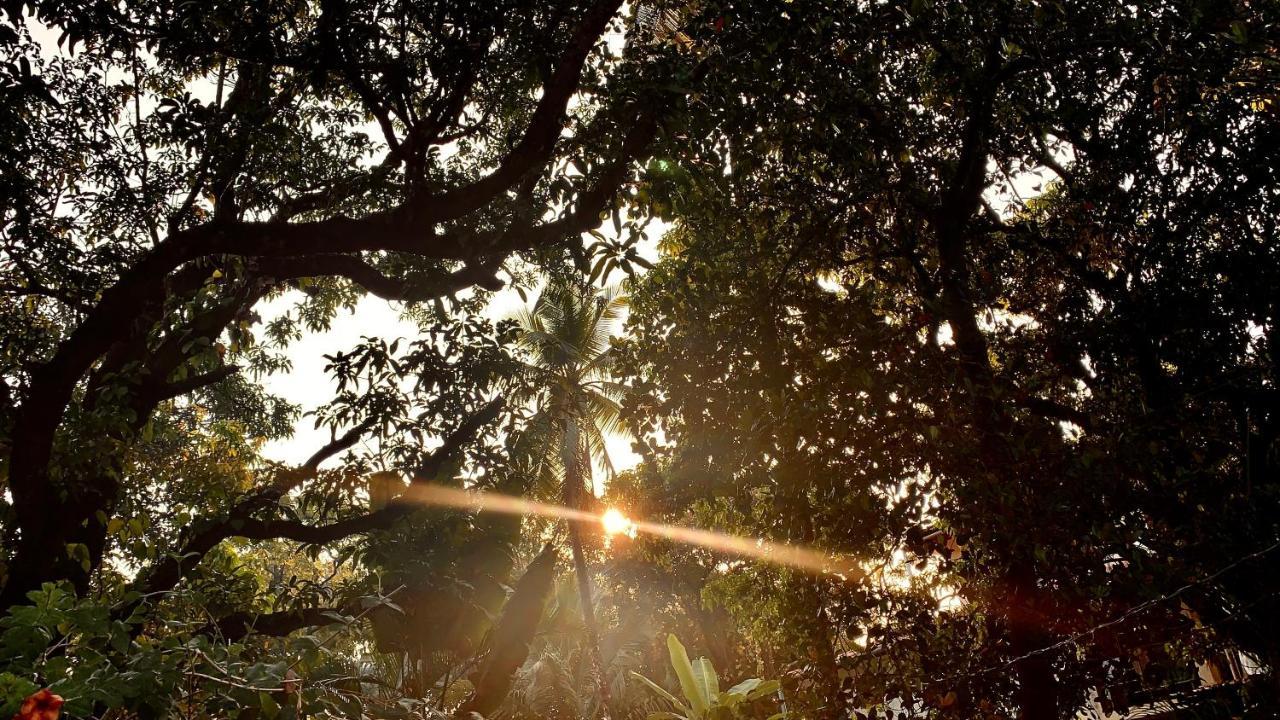 Stan-Inn, North Goa, Vagator, With Strong Wifi,Free Private Parking & Kitchen, Can Cook Where You Stay Exterior photo