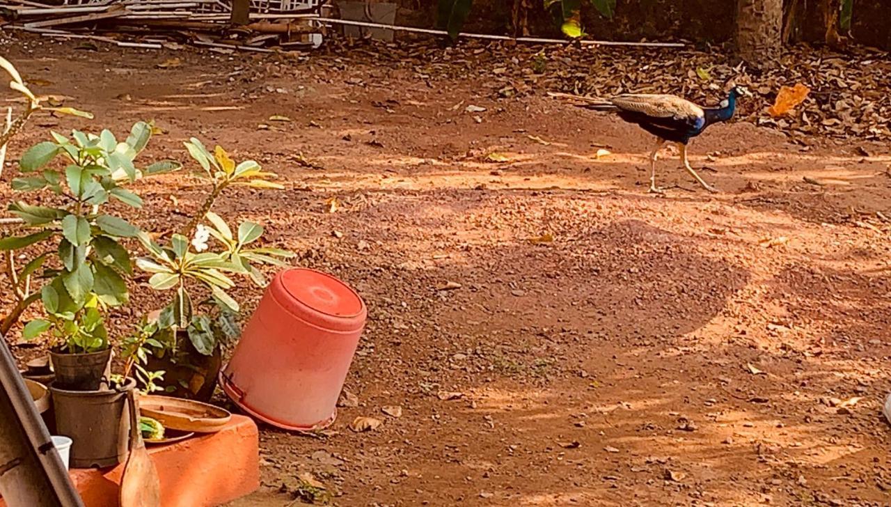 Stan-Inn, North Goa, Vagator, With Strong Wifi,Free Private Parking & Kitchen, Can Cook Where You Stay Exterior photo
