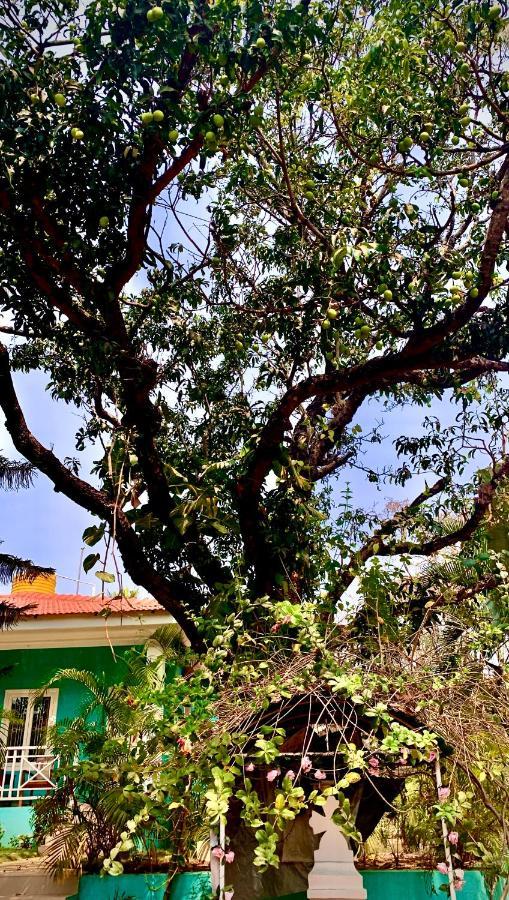Stan-Inn, North Goa, Vagator, With Strong Wifi,Free Private Parking & Kitchen, Can Cook Where You Stay Exterior photo