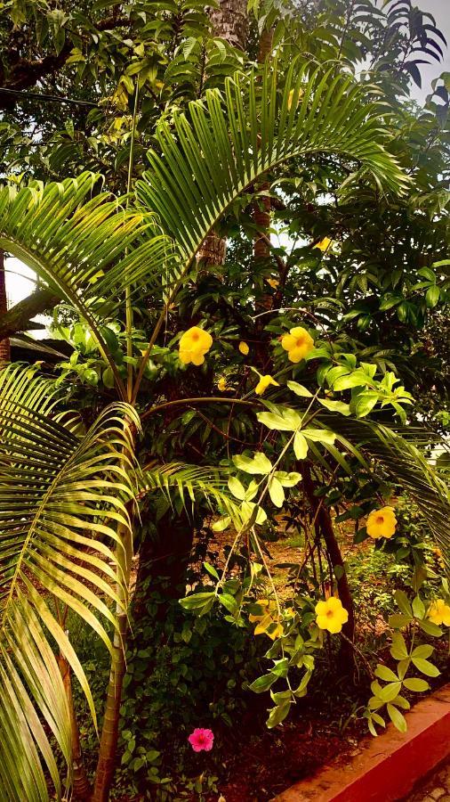 Stan-Inn, North Goa, Vagator, With Strong Wifi,Free Private Parking & Kitchen, Can Cook Where You Stay Exterior photo